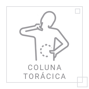 ícone Coluna