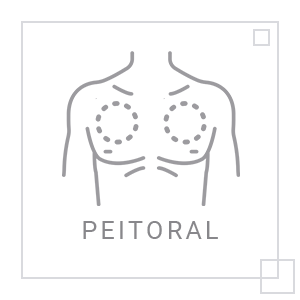 ícone Peitoral